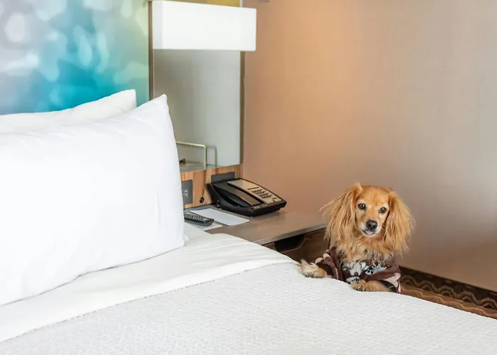 Courtyard By Marriott Vallejo 4*